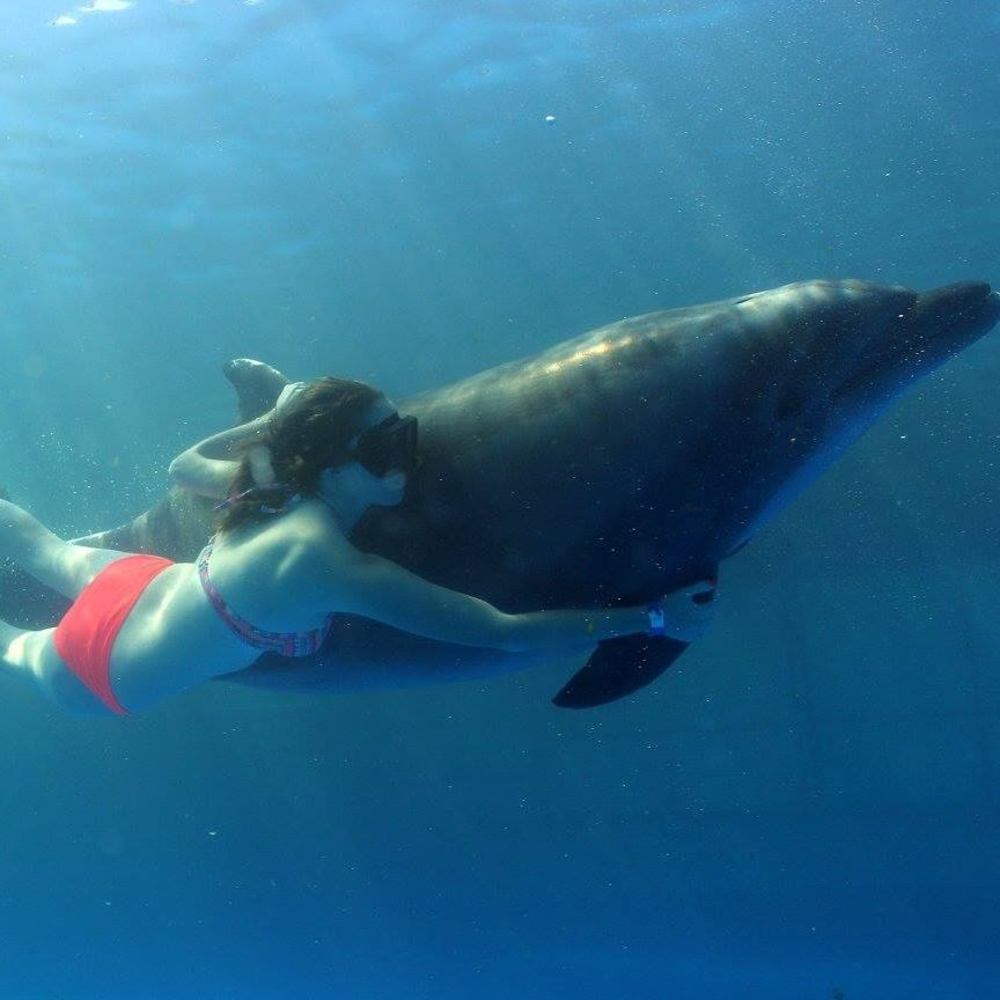 Meet your Posher, Summer